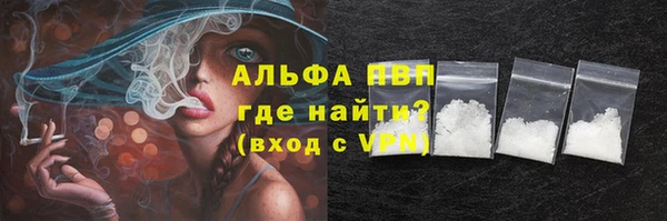 прущие грибы Гусиноозёрск