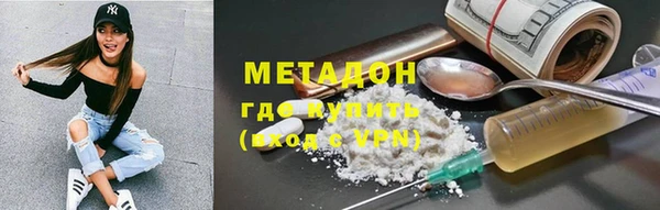 прущие грибы Гусиноозёрск
