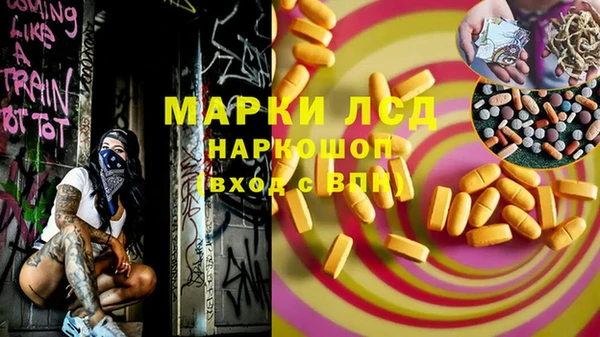 прущие грибы Гусиноозёрск