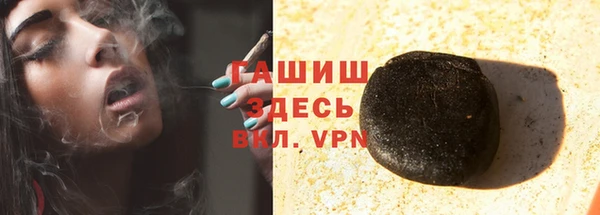 прущие грибы Гусиноозёрск