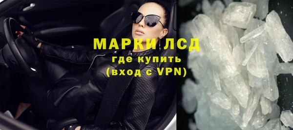 прущие грибы Гусиноозёрск