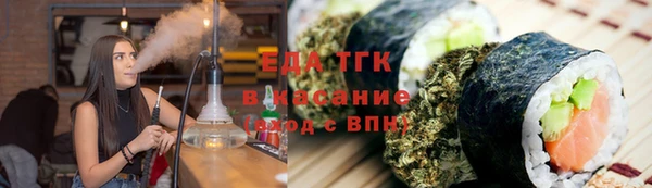 прущие грибы Гусиноозёрск