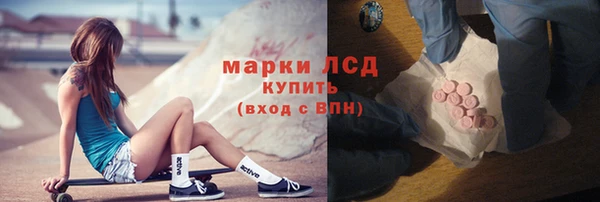 прущие грибы Гусиноозёрск