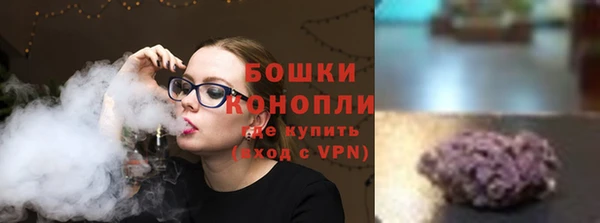 прущие грибы Гусиноозёрск