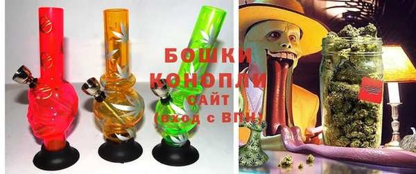 прущие грибы Гусиноозёрск