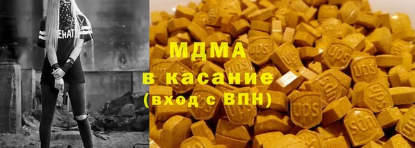 прущие грибы Гусиноозёрск