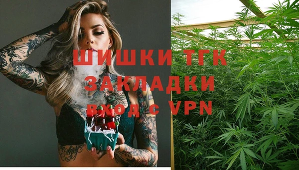 прущие грибы Гусиноозёрск