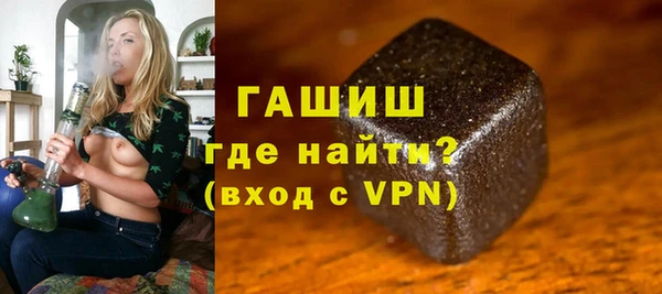 прущие грибы Гусиноозёрск